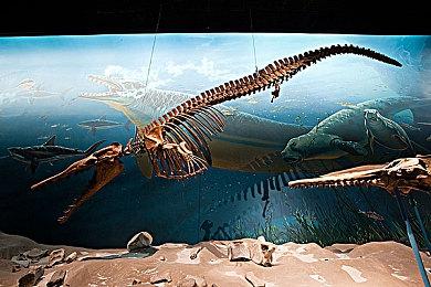 《艾尔登法环：黑夜君临》玩家数一小时突破30万 超越《黑暗之魂》三部曲总和