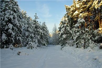 日恐经典名作《钟楼复刻版》率先登陆PC 主机版稍后